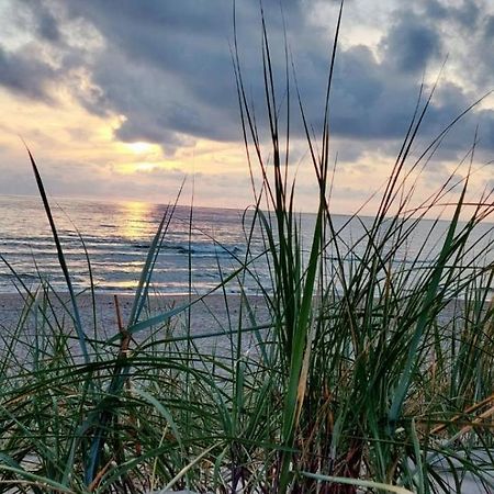 Gerves Apartamentai Palanga Eksteriør bilde