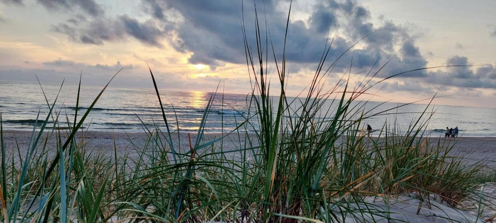 Gerves Apartamentai Palanga Eksteriør bilde